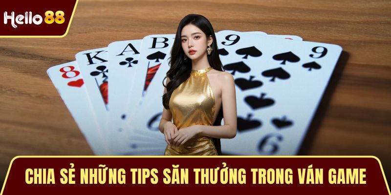 Mậu Binh 24H Là Gì? Hướng Dẫn Quy Tắc Cược Riêng Cho Newbie Chia sẻ những tips săn thưởng trong ván game