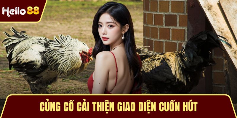 Củng cố cải thiện giao diện cuốn hút